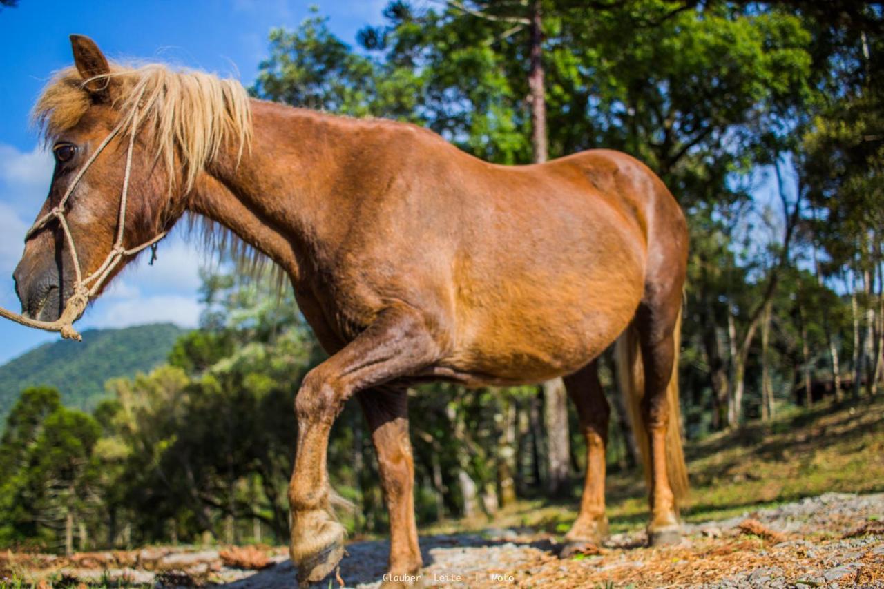 Yahoo Ecolodge Rio Rufino Dış mekan fotoğraf