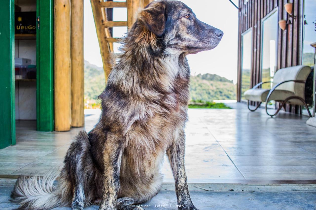Yahoo Ecolodge Rio Rufino Dış mekan fotoğraf